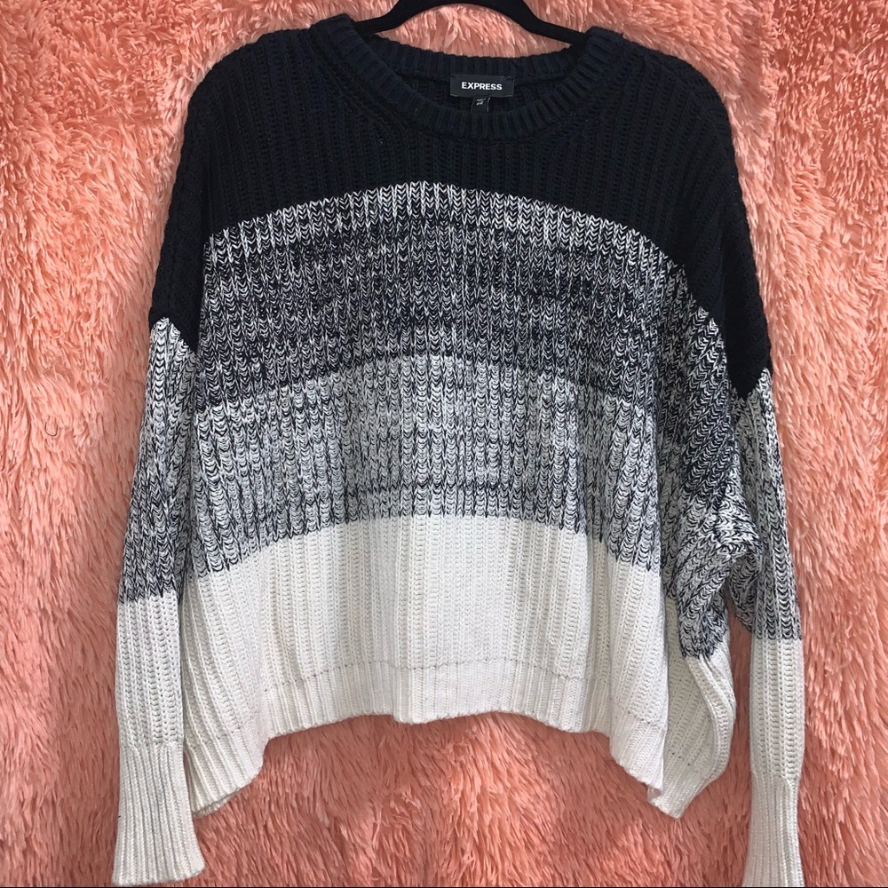 Express Cropped Oversized Crewneck Sweater